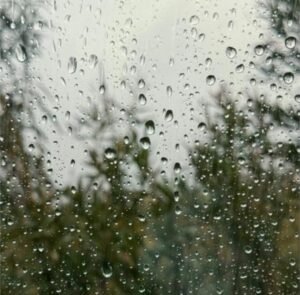 امطار في تعز